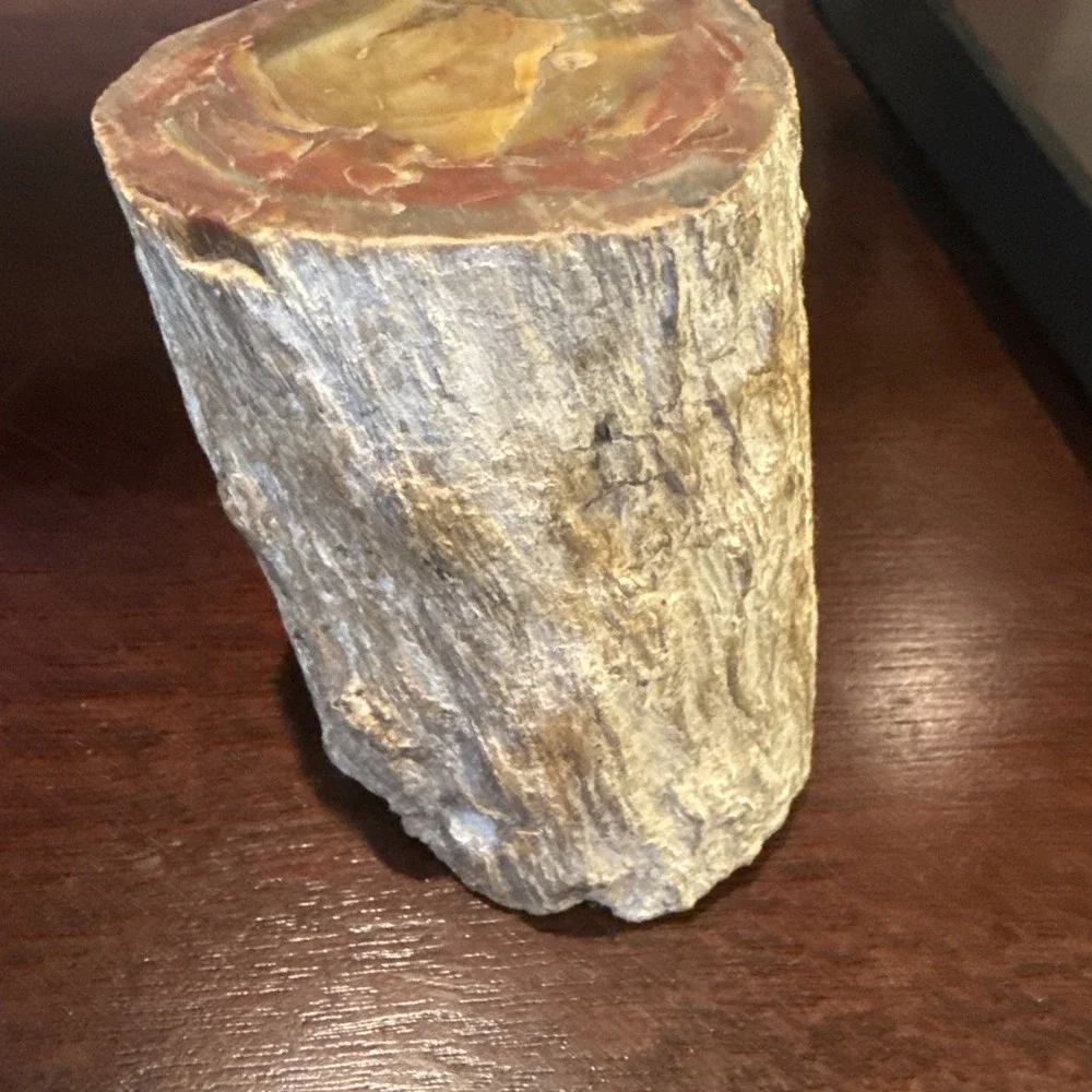 2.1 LB Agatized Petrified Wood Log Fossil Polished Ends Natural Bark Specimen